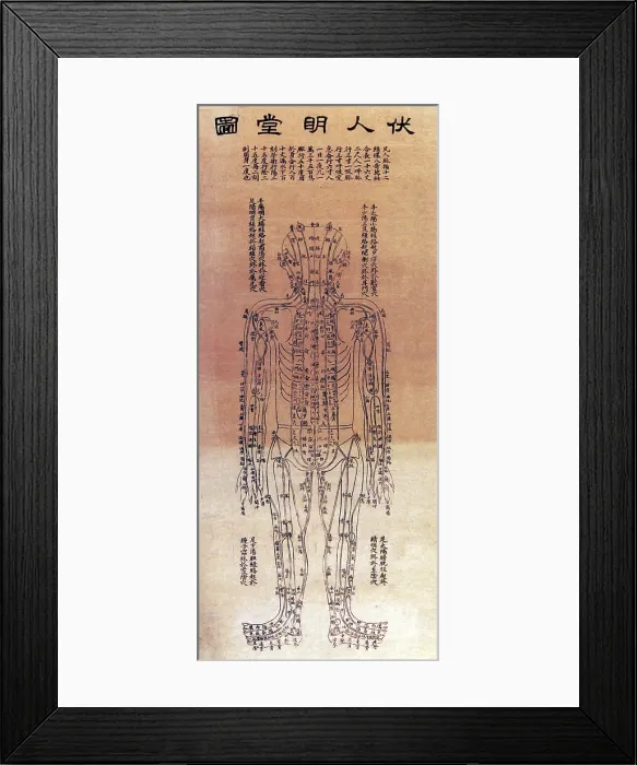 Framed Print : Chinese Acupuncture Chart, 1906 Framed Print : Chinese Acupuncture Chart, 1906