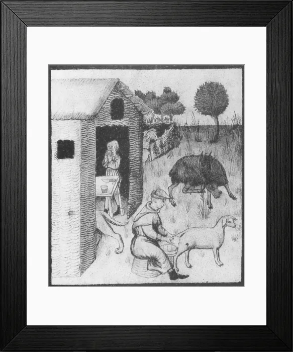 Framed Print : Agriculture, Medieval Farming Framed Print : Agriculture, Medieval Farming