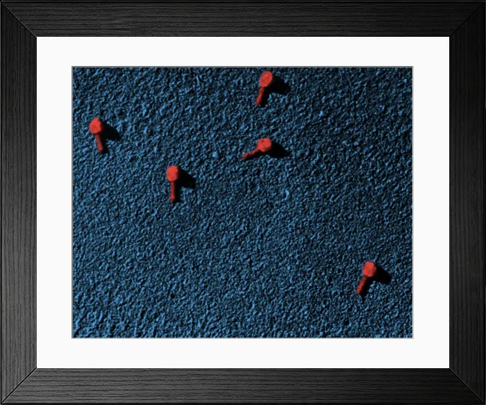 Framed Print : Enterobacteria phage T2, TEM Framed Print : Enterobacteria phage T2, TEM