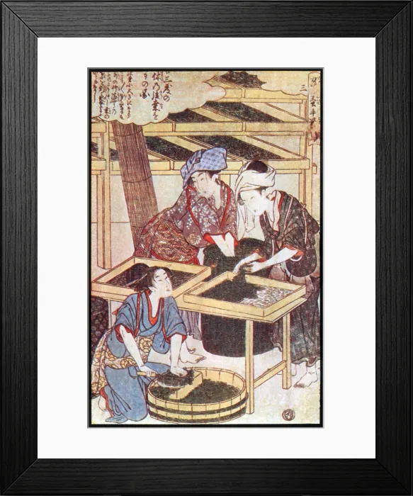 Framed Print : Feeding Silkworm Cocoons, Silk Making in Japan Framed Print : Feeding Silkworm Cocoons, Silk Making in Japan