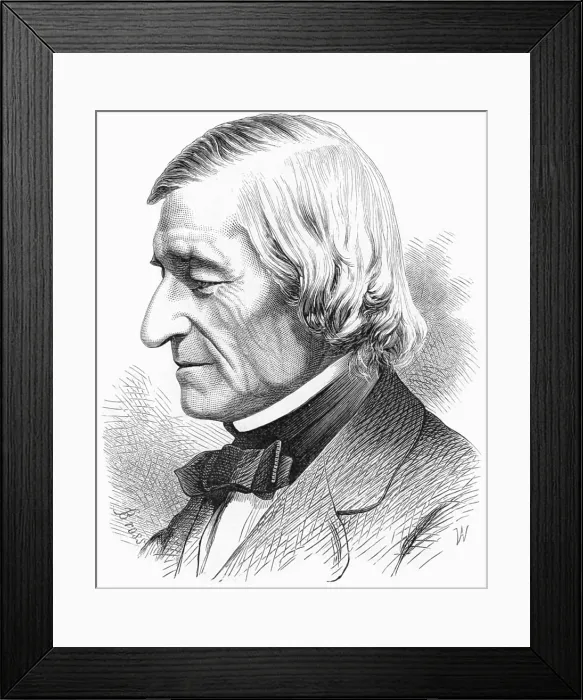 Framed Print : William Rogers, American Geologist and Educator Framed Print : William Rogers, American Geologist and Educator