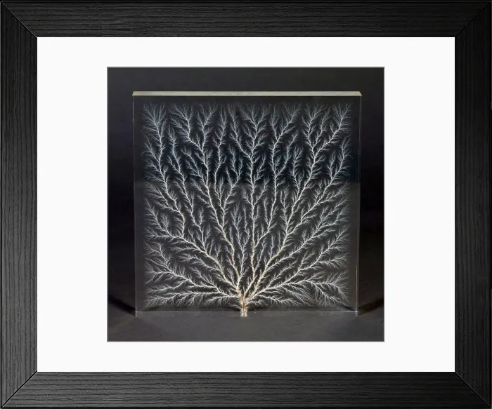 Framed Print : Lichtenberg Figure, Electron Tree Framed Print : Lichtenberg Figure, Electron Tree