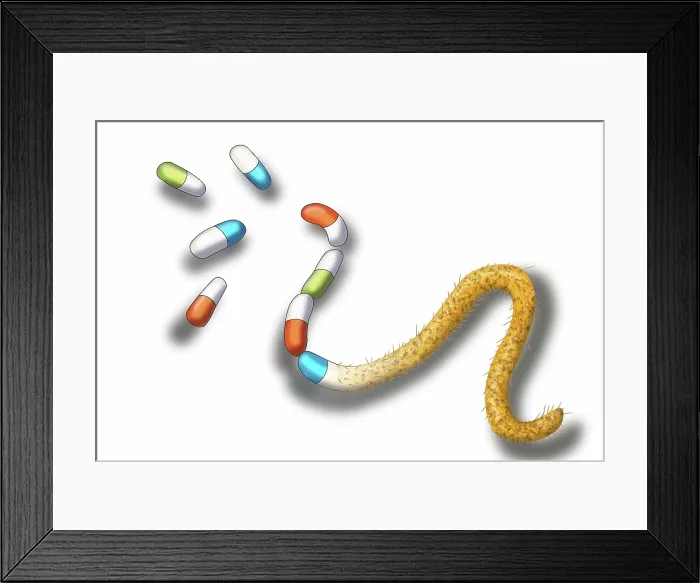 Framed Print : Antibiotic Resistant Bacteria, Illustration