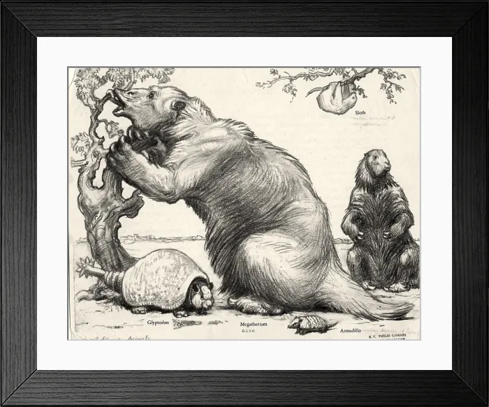 Framed Print : Glyptodon and Megatherium, Extinct Fauna Framed Print : Glyptodon and Megatherium, Extinct Fauna