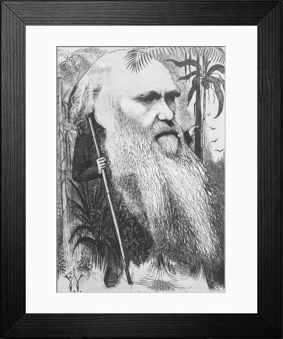 Framed Print : Charles Darwin, English Naturalist Framed Print : Charles Darwin, English Naturalist