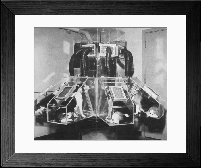 Framed Print : Studying Radiation Effects, 1970s Framed Print : Studying Radiation Effects, 1970s