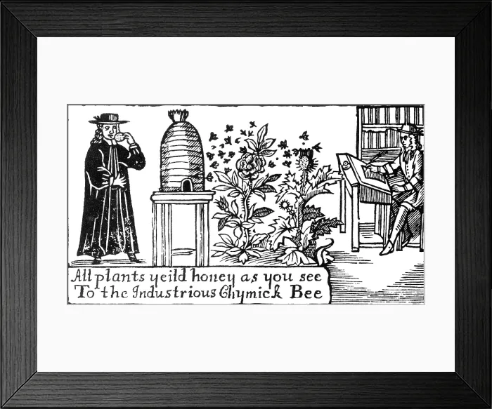 Framed Print : Apiculture, Beekeeping, 18 Century Framed Print : Apiculture, Beekeeping, 18 Century