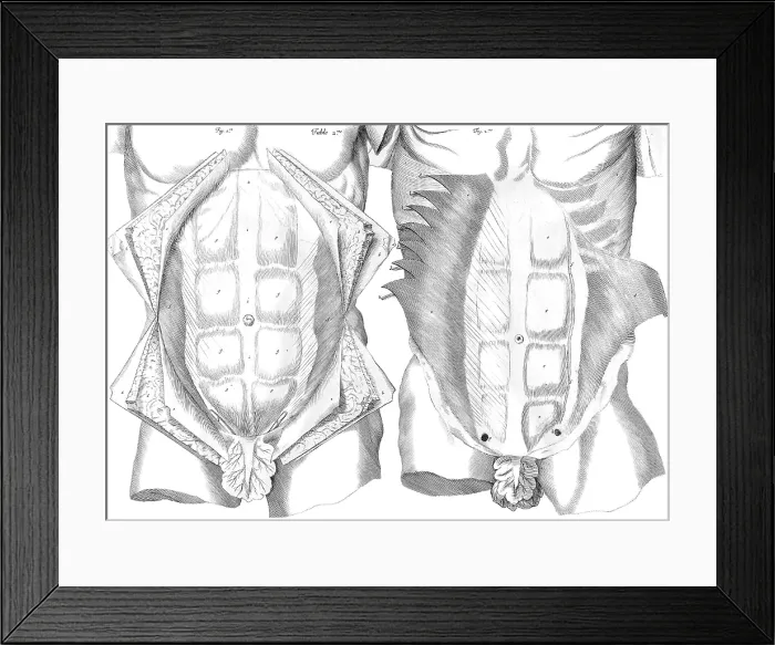 Framed Print : Ame Bourdon, 'Nouvelles tables anatomiques', 1678 Framed Print : Ame Bourdon, 'Nouvelles tables anatomiques', 1678