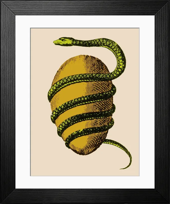 Framed Print : Cosmology, Orphic Egg, Source of the Universe Framed Print : Cosmology, Orphic Egg, Source of the Universe