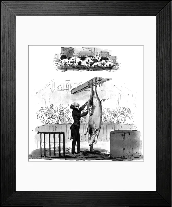 Framed Print : Robert Knox, Scottish Anatomist