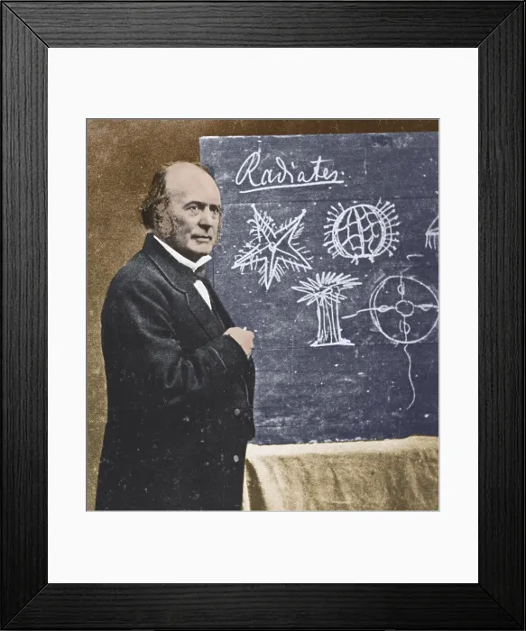 Framed Print : Louis Agassiz, Swiss-American Polymath Framed Print : Louis Agassiz, Swiss-American Polymath