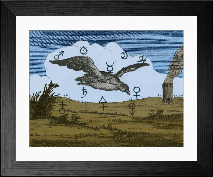 Framed Print : Alchemy Illustration Framed Print : Alchemy Illustration