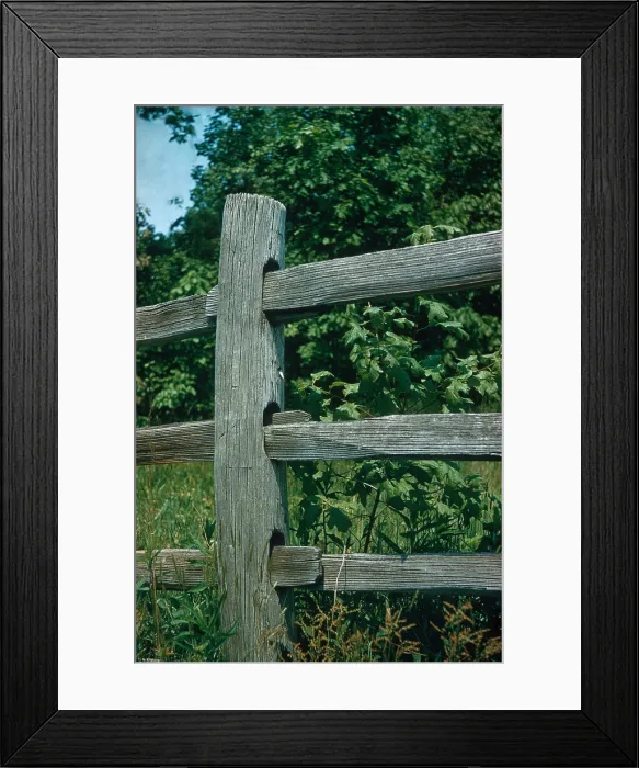 Framed Print : Fence. Old wooden fence Framed Print : Fence. Old wooden fence