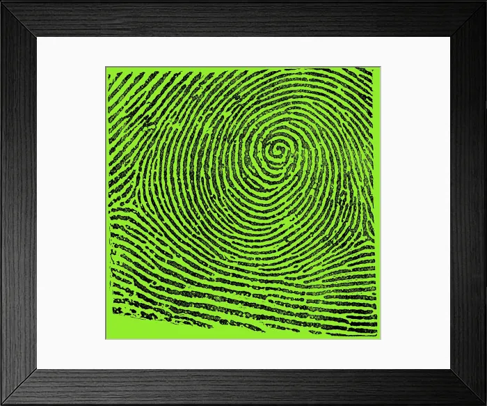 Framed Print : Typical Whorl Pattern, 1900