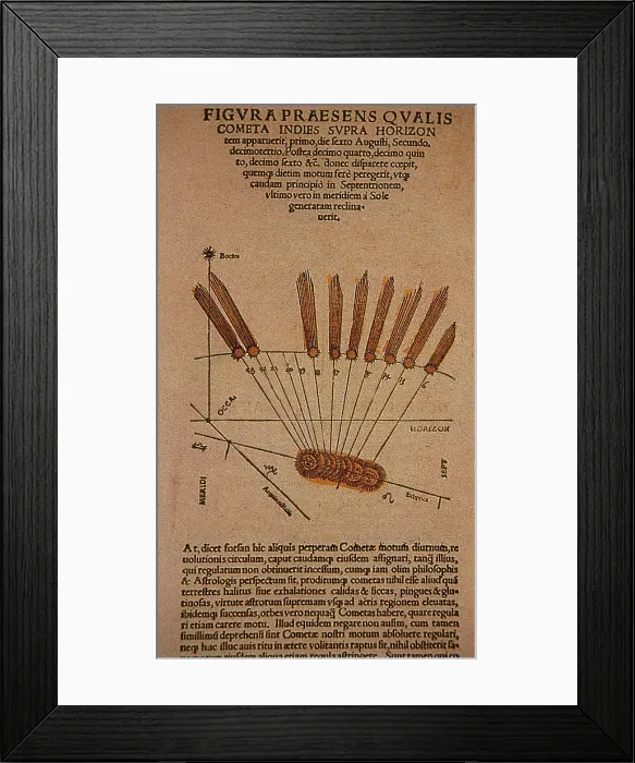 Framed Print : Halley's Comet, 1531 Framed Print : Halley's Comet, 1531