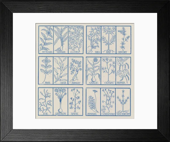 Framed Print : Edible herbs Framed Print : Edible herbs