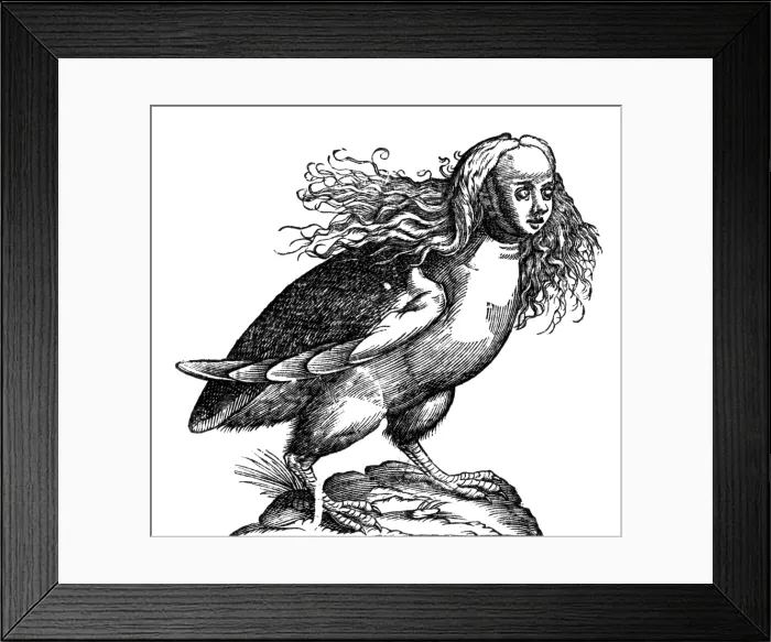 Framed Print : Harpy, Legendary Creature