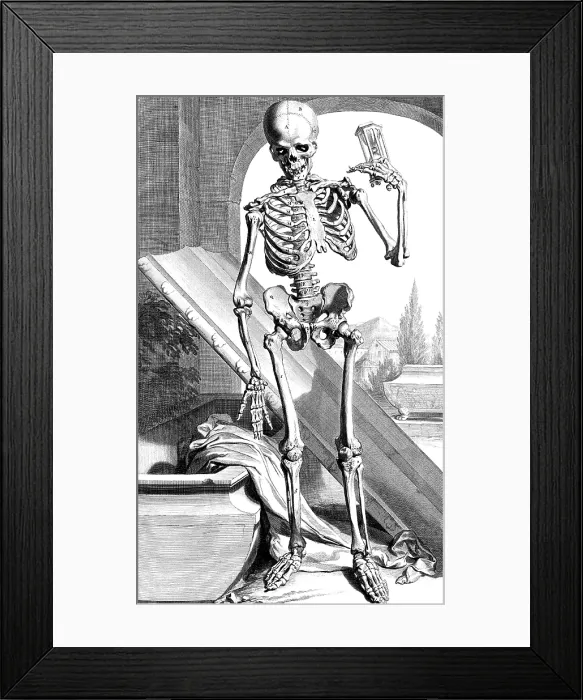 Framed Print : Anatomia humani corporis, Table 87, 1690 Framed Print : Anatomia humani corporis, Table 87, 1690