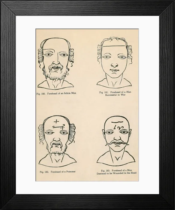 Framed Print : Physiognomy Framed Print : Physiognomy