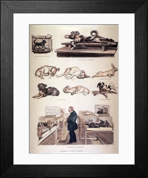 Framed Print : Louis Pasteur, French Microbiologist