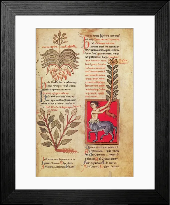 Framed Print : Centaur, Legendary Creatures Framed Print : Centaur, Legendary Creatures