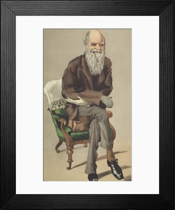 Framed Print : Charles Darwin, English Naturalist Framed Print : Charles Darwin, English Naturalist