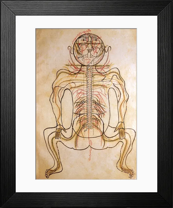 Framed Print : Human Nervous System, 15th Century