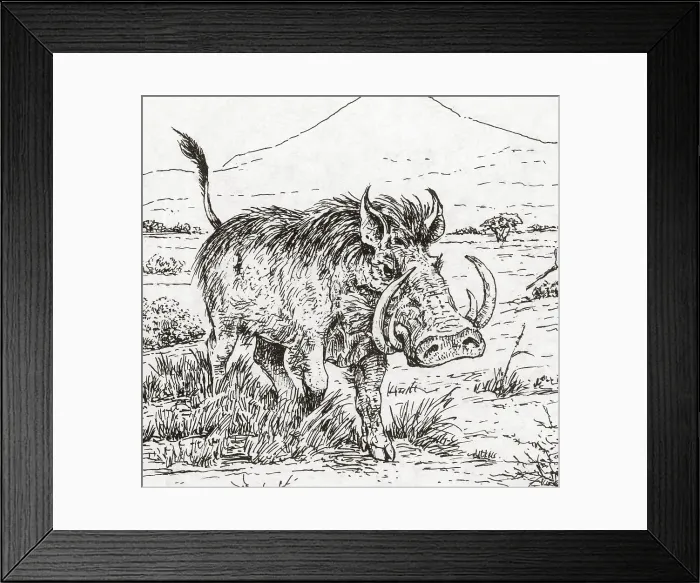 Framed Print : Genus Notochoerus, Suidae Family Framed Print : Genus Notochoerus, Suidae Family