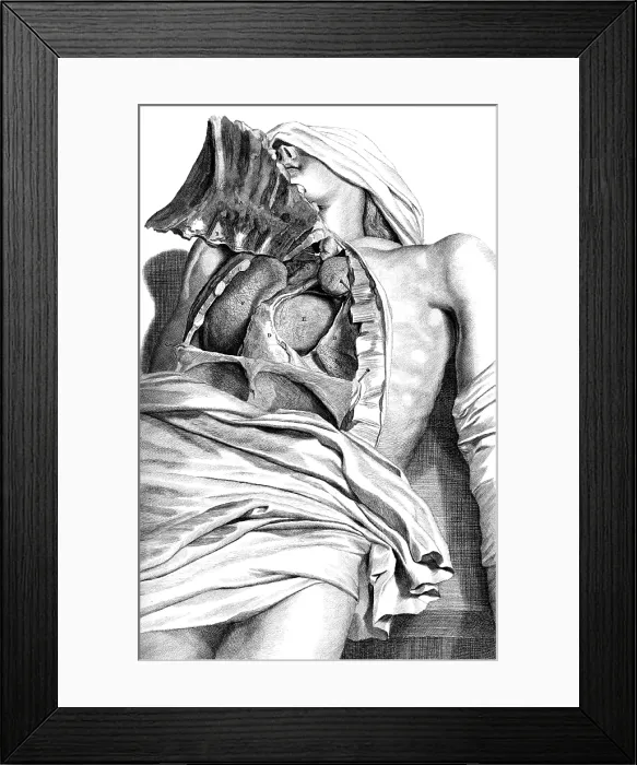 Framed Print : Anatomia humani corporis, Table 21, 1690 Framed Print : Anatomia humani corporis, Table 21, 1690