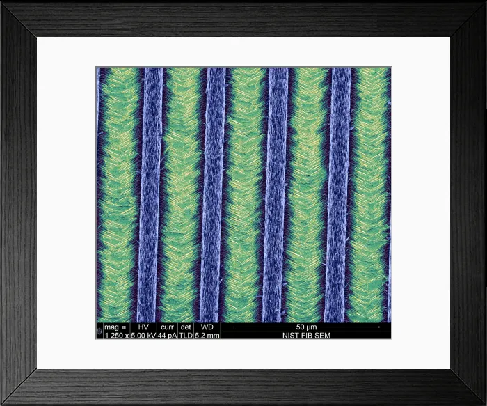 Framed Print : Nanowires, Nanowalls, scanning electron micrograph Framed Print : Nanowires, Nanowalls, scanning electron micrograph