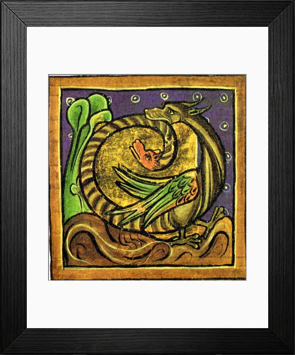 Framed Print : Amphisbaenae, Legendary Creature
