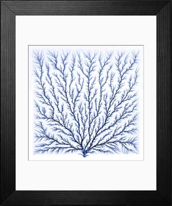 Framed Print : Electron Tree or Lichtenberg Figure Framed Print : Electron Tree or Lichtenberg Figure