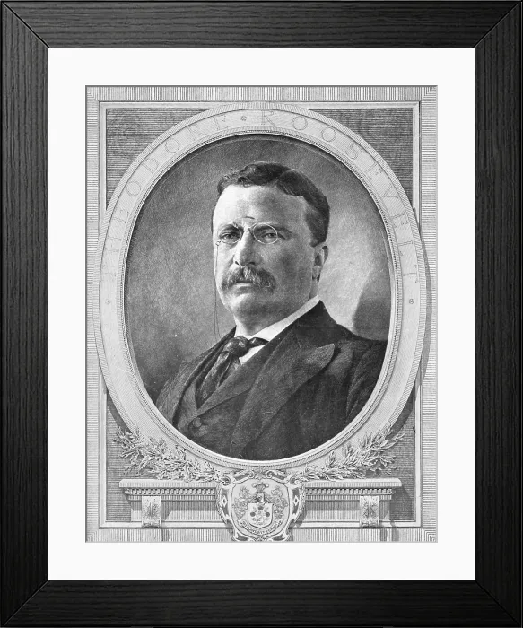 Framed Print : Theodore Roosevelt, 26th U.S. President Framed Print : Theodore Roosevelt, 26th U.S. President