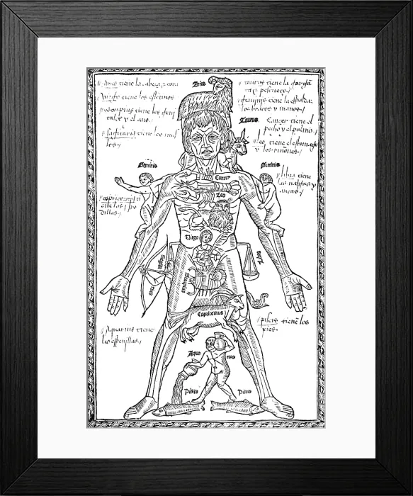 Framed Print : Zodiac Man, Medical Astrology Framed Print : Zodiac Man, Medical Astrology