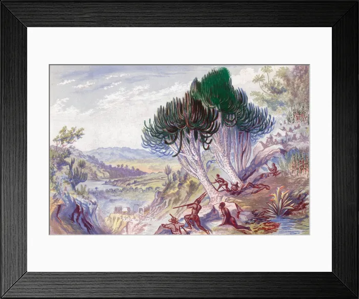 Framed Print : South Africa, Khoikhoi Attack Colonials, 17th Century Framed Print : South Africa, Khoikhoi Attack Colonials, 17th Century