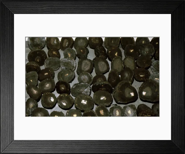 Framed Print : Polymetallic Nodules Framed Print : Polymetallic Nodules