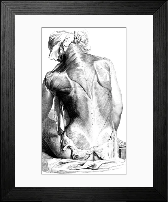 Framed Print : Anatomia humani corporis, Table 27, 1690