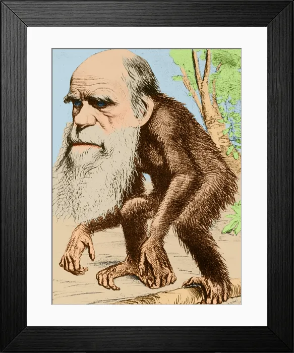 Framed Print : Caricature of Charles Darwin, 1871