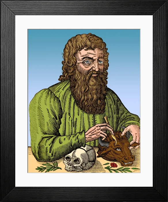 Framed Print : Hippocrates, Greek Physician Framed Print : Hippocrates, Greek Physician