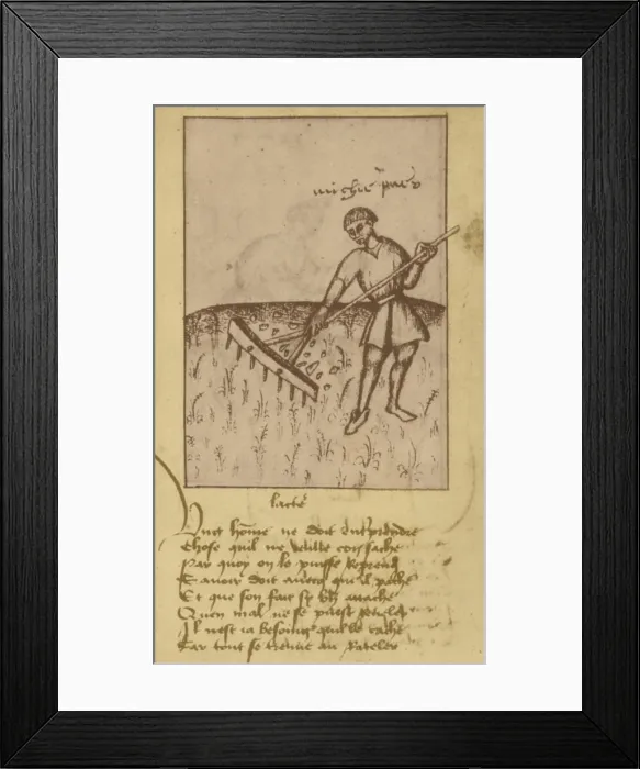 Framed Print : Agriculture, 15th Century Framed Print : Agriculture, 15th Century