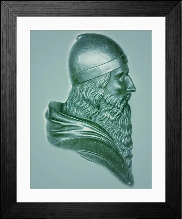Framed Print : Aristotle, Ancient Greek Philosopher and Polymath Framed Print : Aristotle, Ancient Greek Philosopher and Polymath