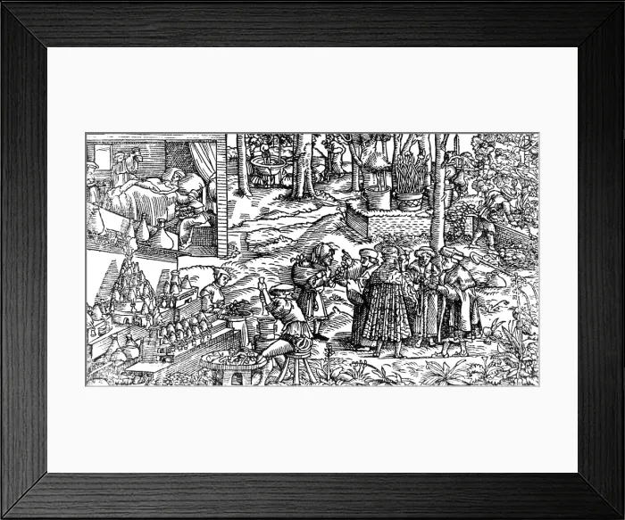 Framed Print : Consultation on German Herbarium, 16th Century Framed Print : Consultation on German Herbarium, 16th Century
