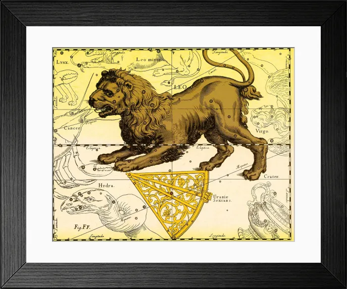 Framed Print : Leo Constellation, Zodiac Sign, Hevelius Framed Print : Leo Constellation, Zodiac Sign, Hevelius