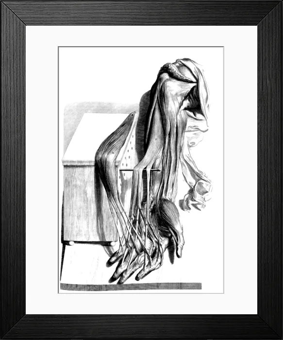 Framed Print : Anatomia humani corporis, Table 67, 1690