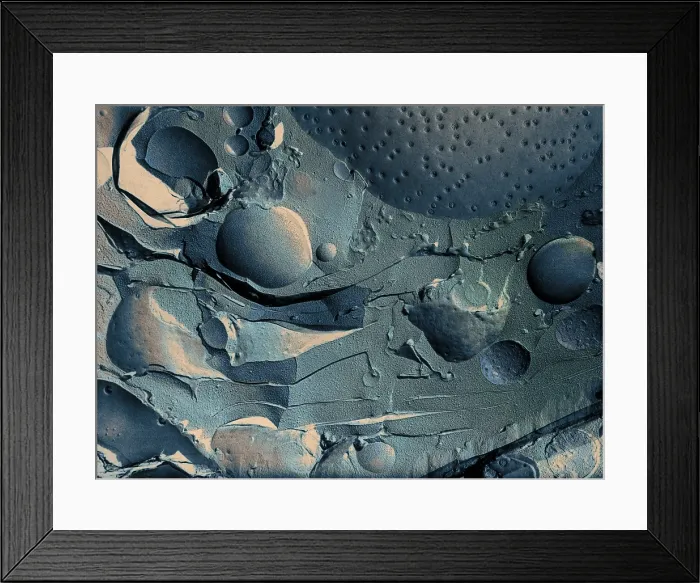 Framed Print : Onion Root Tip Cell, Freeze Fracture TEM Framed Print : Onion Root Tip Cell, Freeze Fracture TEM
