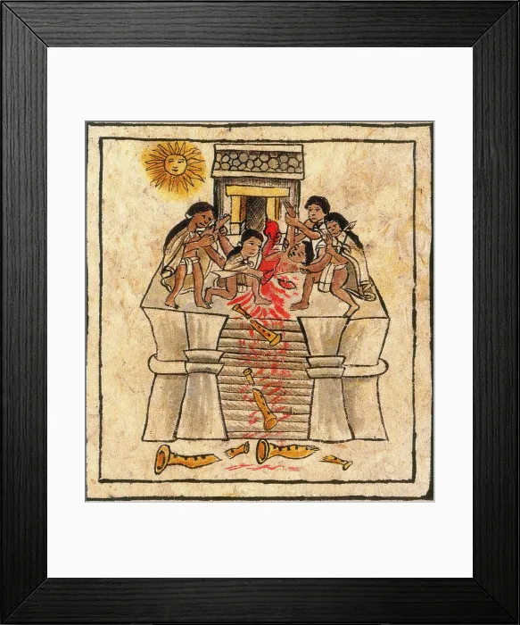 Framed Print : Aztec Human Sacrifice, Codex Florentine, 16th Century