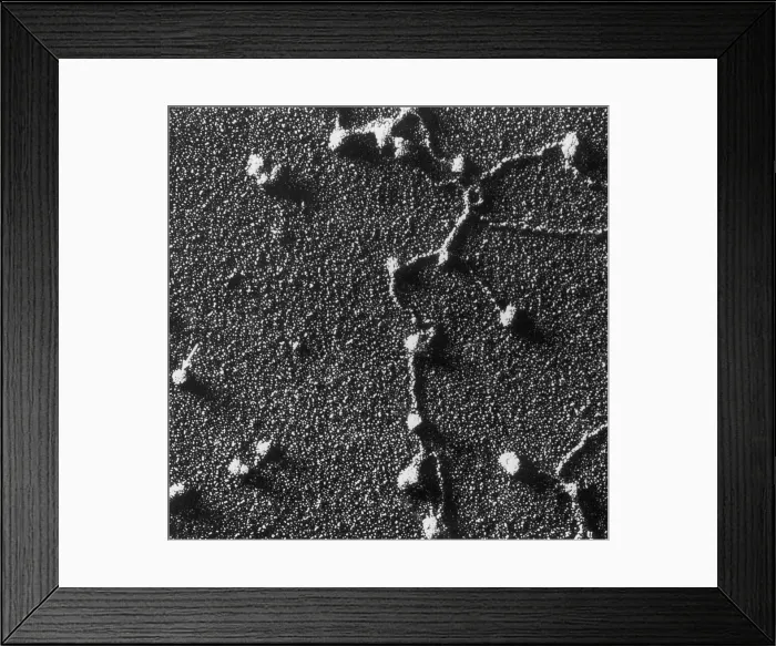 Framed Print : Genetics, RNA Attached to DNA, TEM Framed Print : Genetics, RNA Attached to DNA, TEM