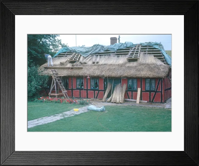 Framed Print : Roof Thatching, Denmark Framed Print : Roof Thatching, Denmark