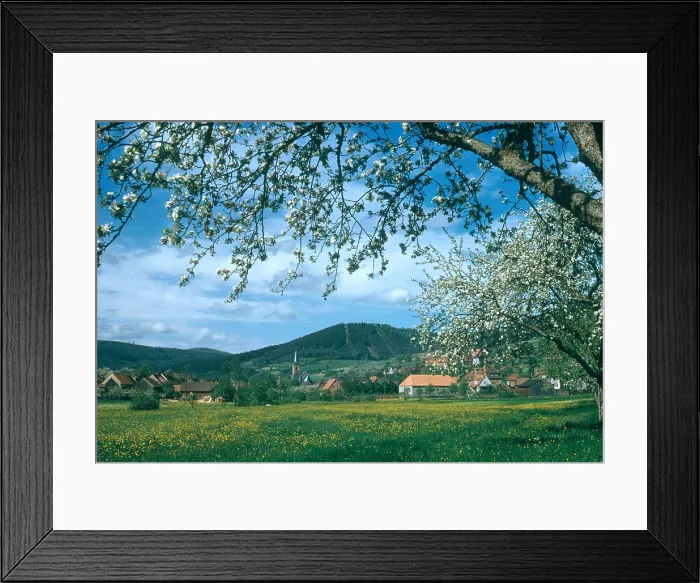 Framed Print : Oden Forest, Germany