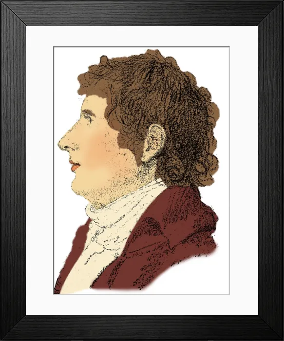 Framed Print : Joseph Fourier, French Mathematician and Physicist